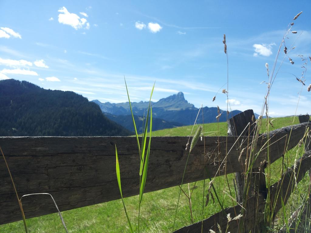 Appartement Ciasa Raut à La Valle Extérieur photo